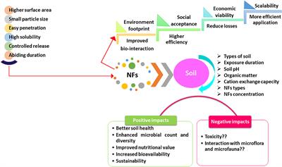 Nanofertilizer Possibilities for Healthy Soil, Water, and Food in Future: An Overview